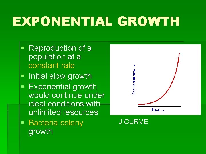 EXPONENTIAL GROWTH § Reproduction of a population at a constant rate § Initial slow