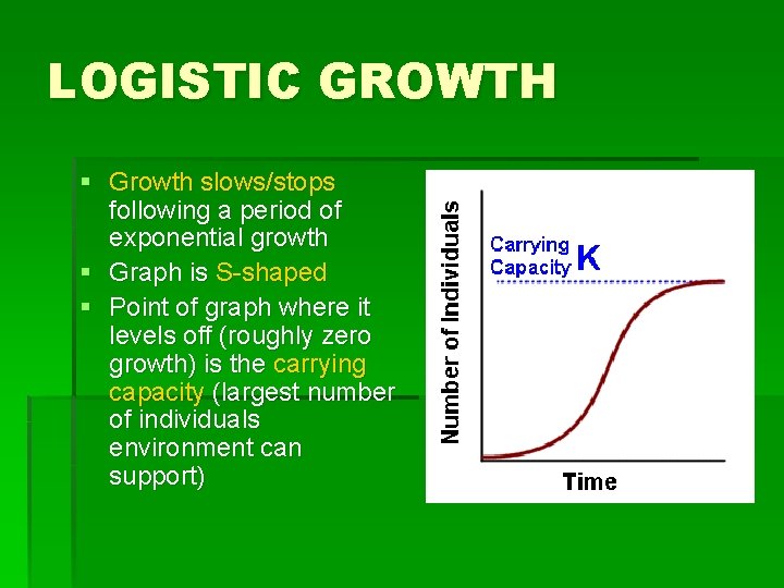 LOGISTIC GROWTH § Growth slows/stops following a period of exponential growth § Graph is