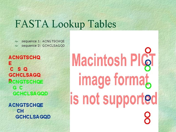 FASTA Lookup Tables sequence 1: ACNGTSCHQE sequence 2: GCHCLSAGQD ACNGTSCHQ E C S Q