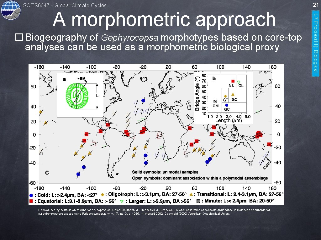 SOES 6047 - Global Climate Cycles � Biogeography of Gephyrocapsa morphotypes based on core-top