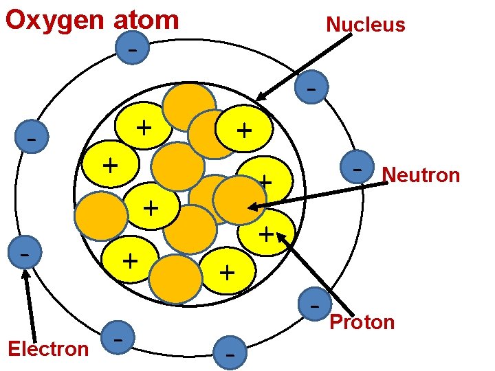 Oxygen atom Nucleus - - + + Electron + - - + + -