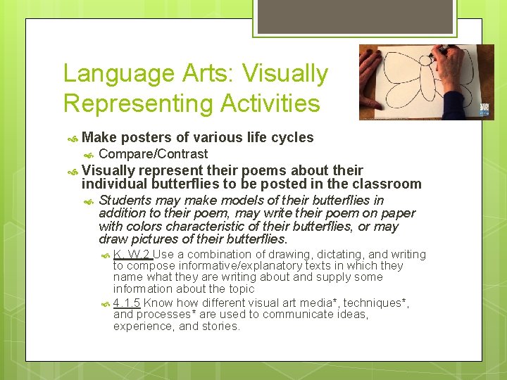 Language Arts: Visually Representing Activities Make posters of various life cycles Compare/Contrast Visually represent