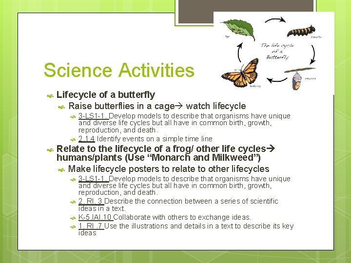 Science Activities Lifecycle of a butterfly Raise butterflies in a cage watch lifecycle 3