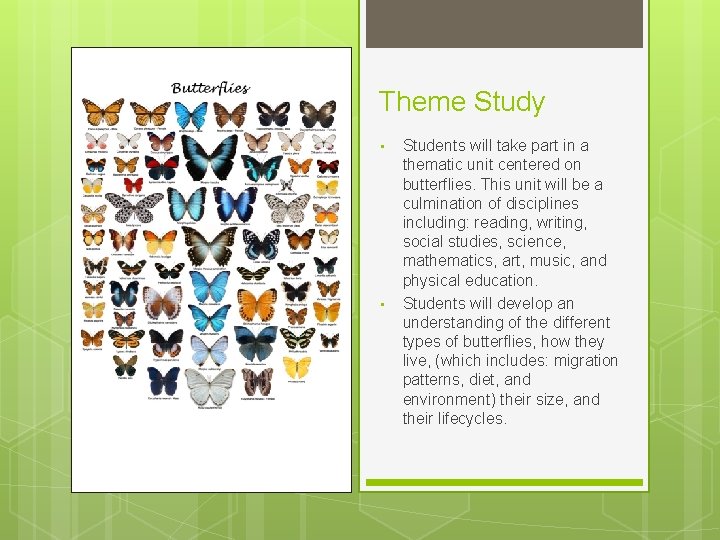 Theme Study • • Students will take part in a thematic unit centered on