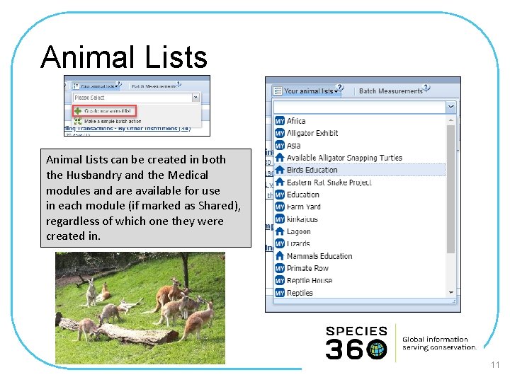 Animal Lists can be created in both the Husbandry and the Medical modules and
