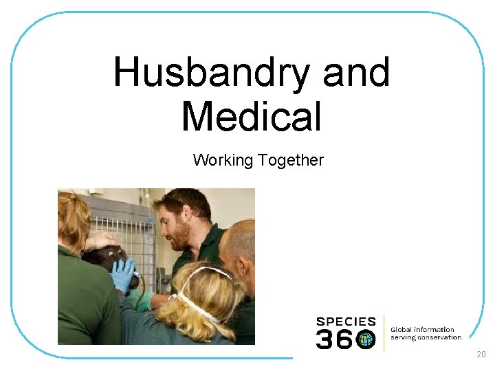 Husbandry and Medical Working Together 20 