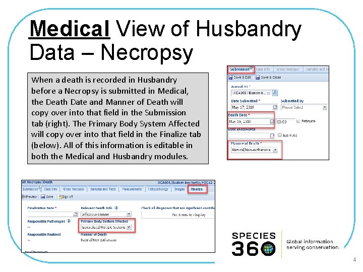 Medical View of Husbandry Data – Necropsy When a death is recorded in Husbandry