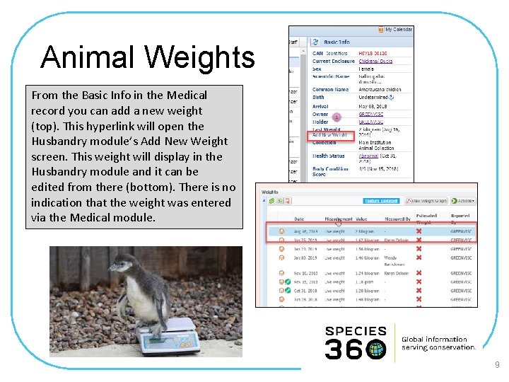 Animal Weights From the Basic Info in the Medical record you can add a