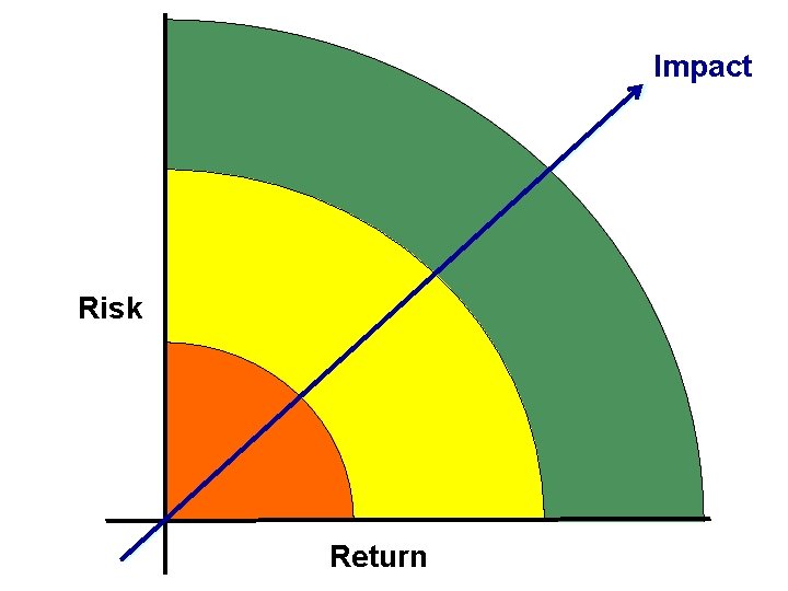 Impact Risk Return 