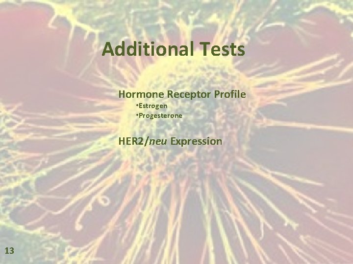 Additional Tests Hormone Receptor Profile • Estrogen • Progesterone HER 2/neu Expression 13 