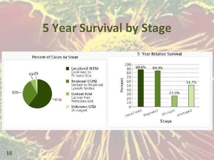 5 Year Survival by Stage 16 