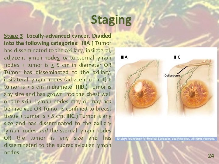Staging Stage 3: Locally-advanced cancer. Divided into the following categories: IIIA. ) Tumor has