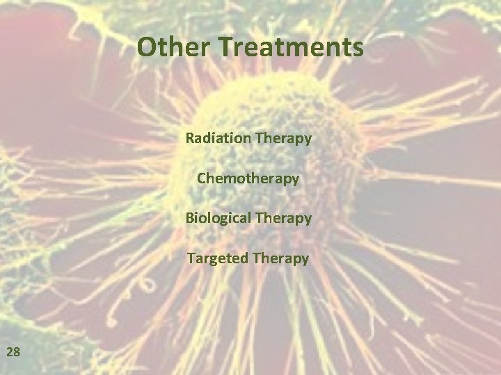 Other Treatments Radiation Therapy Chemotherapy Biological Therapy Targeted Therapy 28 