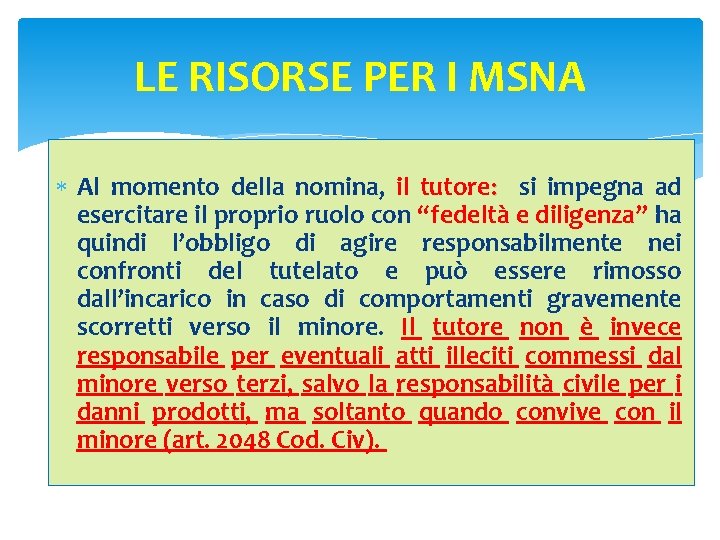 LE RISORSE PER I MSNA Al momento della nomina, il tutore: si impegna ad