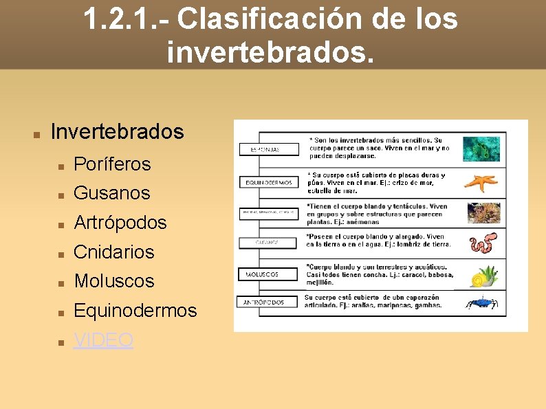 1. 2. 1. - Clasificación de los invertebrados. Invertebrados Poríferos Gusanos Artrópodos Cnidarios Moluscos