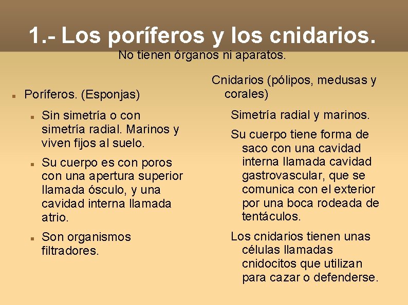 1. - Los poríferos y los cnidarios. No tienen órganos ni aparatos. Poríferos. (Esponjas) 1. - Los poríferos y los cnidarios. No tienen órganos ni aparatos. Poríferos. (Esponjas)