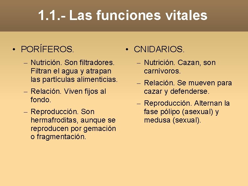 1. 1. - Las funciones vitales • PORÍFEROS. – Nutrición. Son filtradores. Filtran el 1. 1. - Las funciones vitales • PORÍFEROS. – Nutrición. Son filtradores. Filtran el