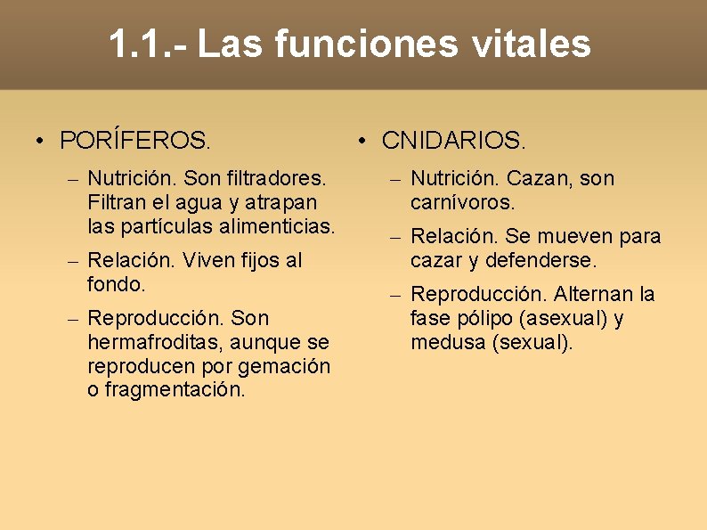 1. 1. - Las funciones vitales • PORÍFEROS. – Nutrición. Son filtradores. Filtran el