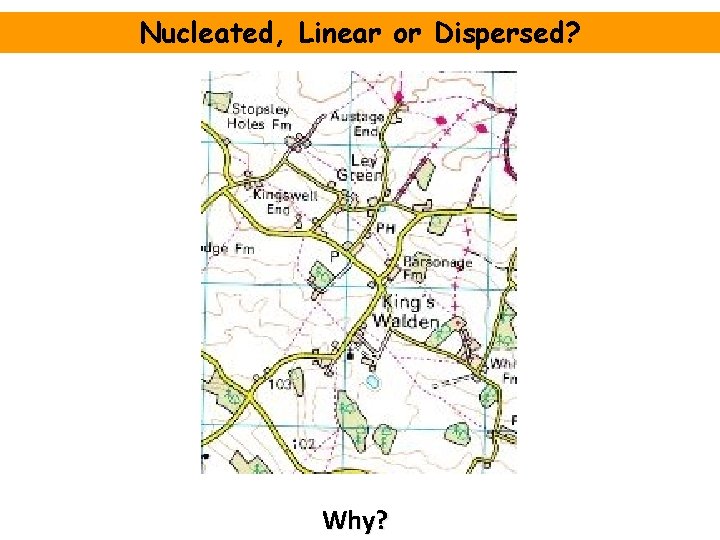Nucleated, Linear or Dispersed? Why? 