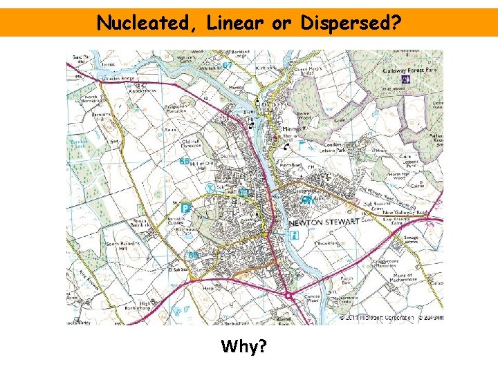 Nucleated, Linear or Dispersed? Why? 