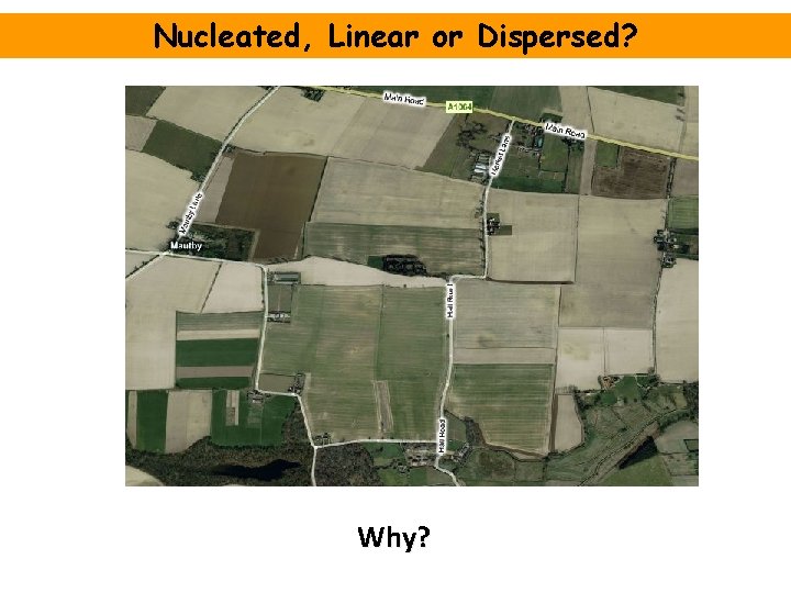 Nucleated, Linear or Dispersed? Why? 