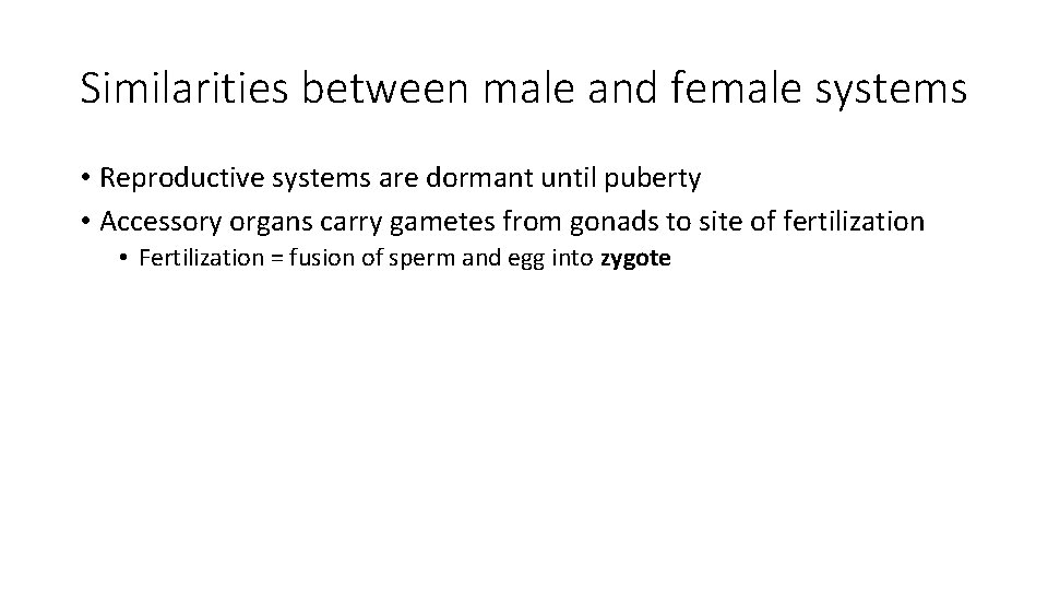 Similarities between male and female systems • Reproductive systems are dormant until puberty •