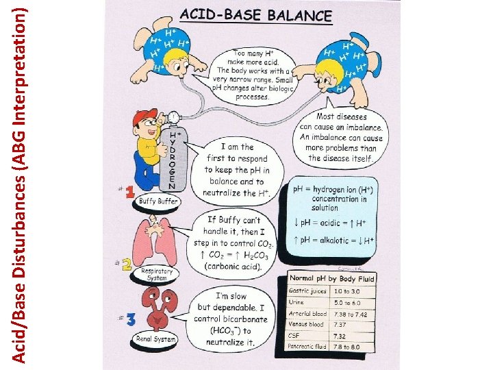 Acid/Base Disturbances (ABG Interpretation) 