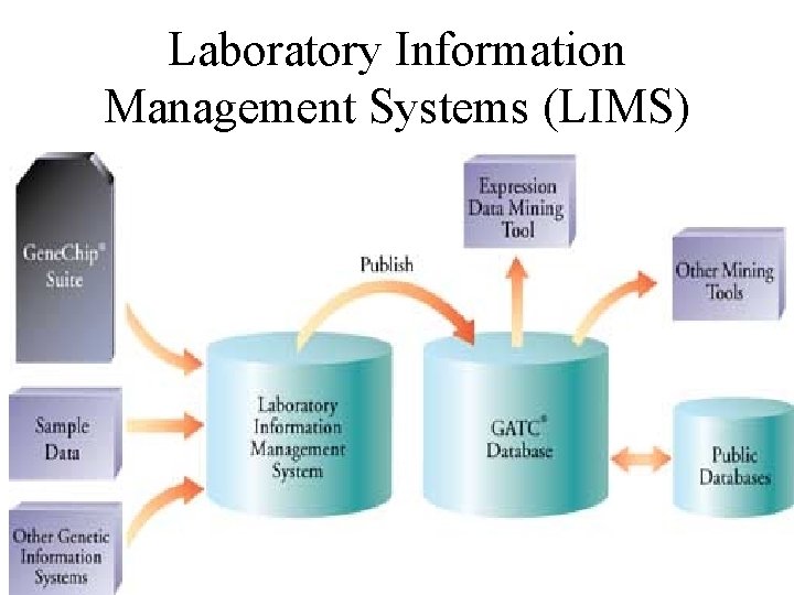 Laboratory Information Management Systems (LIMS) 