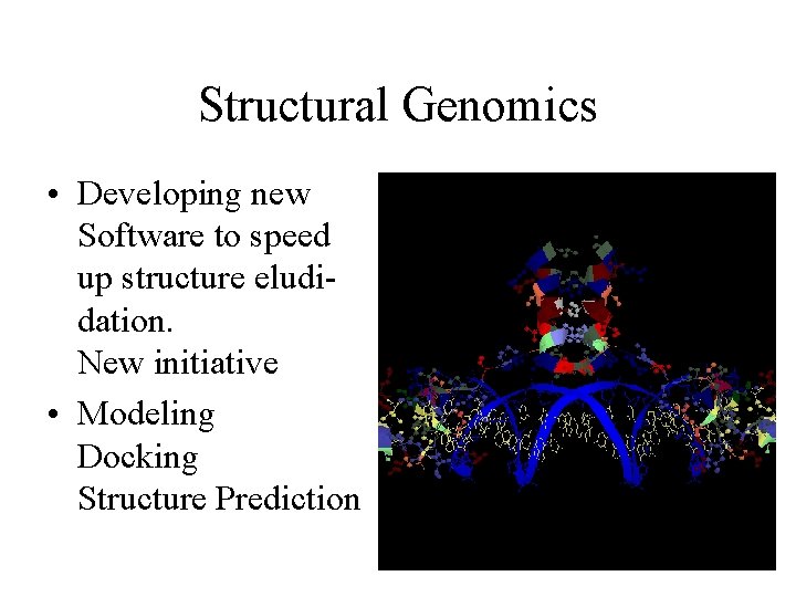 Structural Genomics • Developing new Software to speed up structure eludidation. New initiative •