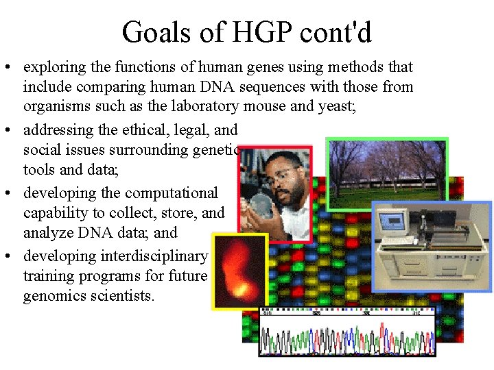 Goals of HGP cont'd • exploring the functions of human genes using methods that
