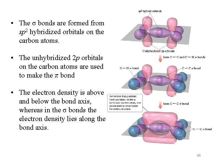  • The σ bonds are formed from sp 2 hybridized orbitals on the