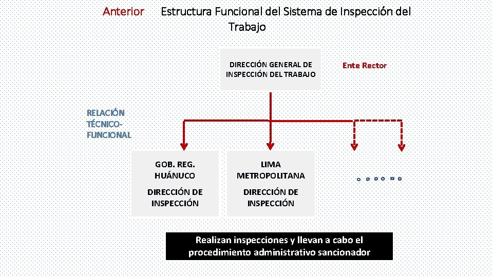 Anterior Estructura Funcional del Sistema de Inspección del Trabajo DIRECCIÓN GENERAL DE INSPECCIÓN DEL