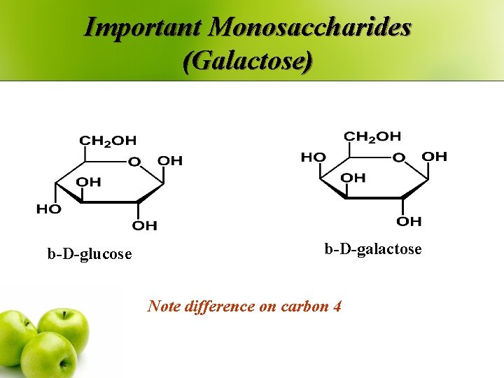 Important Monosaccharides (Galactose) b-D-glucose b-D-galactose Note difference on carbon 4 