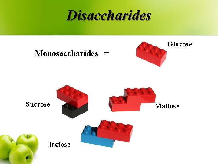 Disaccharides Glucose Monosaccharides = Sucrose lactose Maltose 