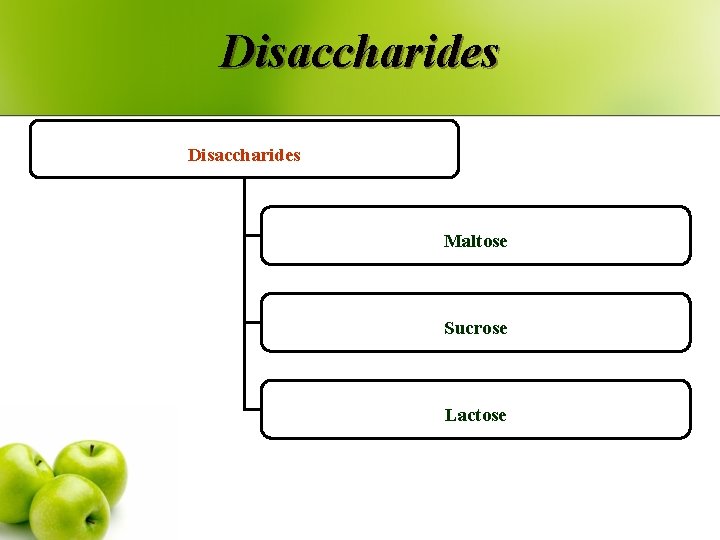 Disaccharides Maltose Sucrose Lactose 