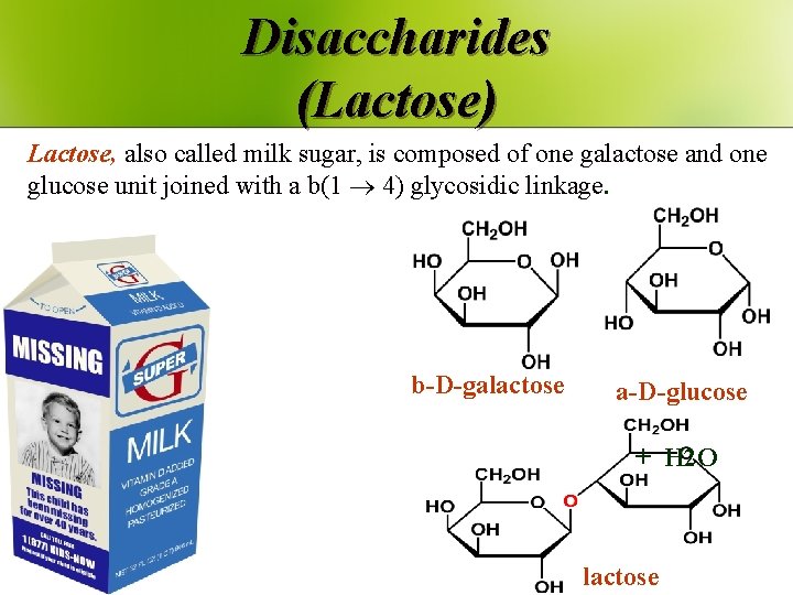 Disaccharides (Lactose) Lactose, also called milk sugar, is composed of one galactose and one