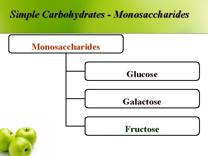 Simple Carbohydrates - Monosaccharides Glucose Galactose Fructose 