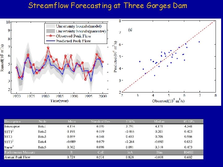 Streamflow Forecasting at Three Gorges Dam 