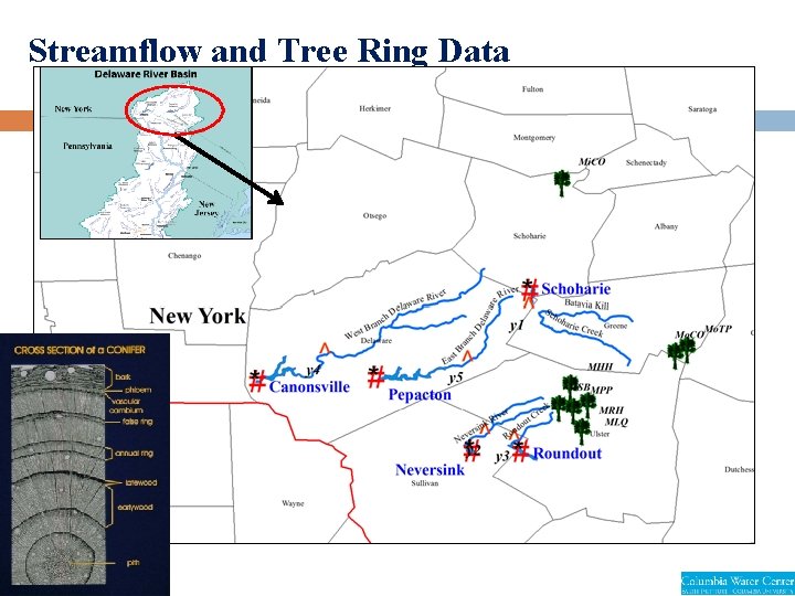 Streamflow and Tree Ring Data 