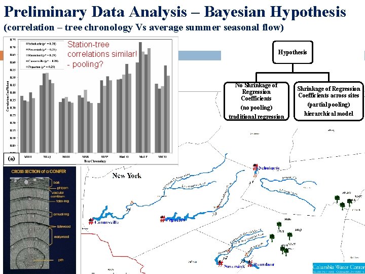 Preliminary Data Analysis – Bayesian Hypothesis (correlation – tree chronology Vs average summer seasonal