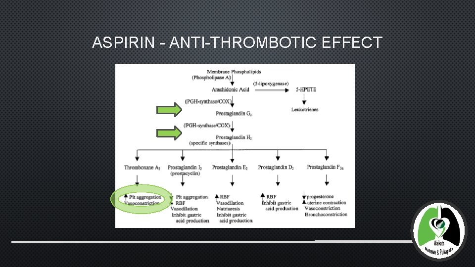 ASPIRIN – ANTI-THROMBOTIC EFFECT 