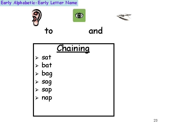 Early Alphabetic-Early Letter Name to Ø Ø Ø sat bag sap nap and Chaining