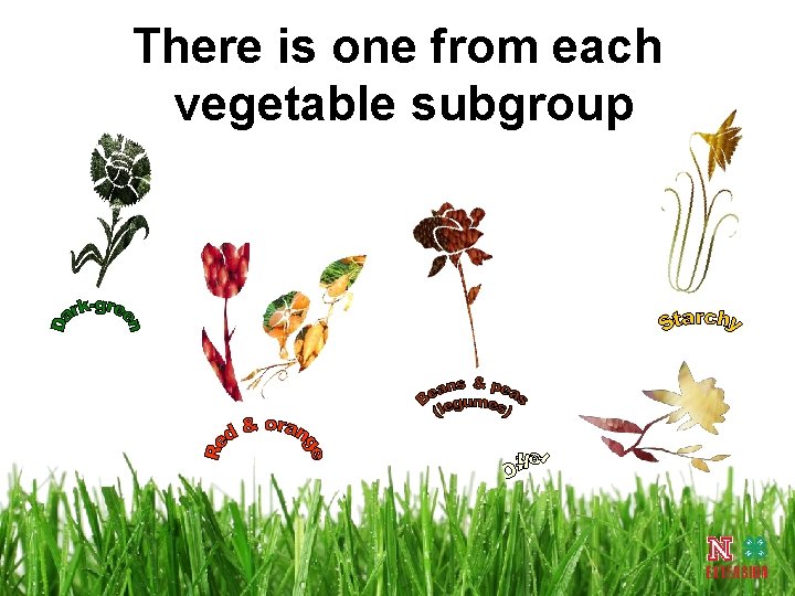 There is one from each vegetable subgroup 