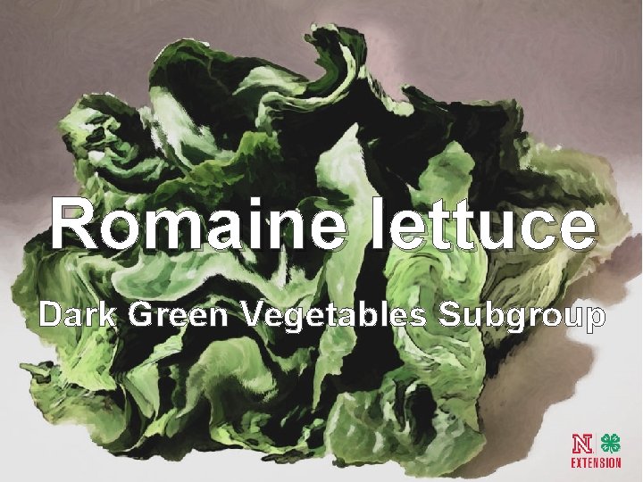 Romaine lettuce Dark Green Vegetables Subgroup 