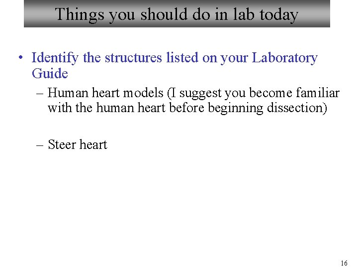 Things you should do in lab today • Identify the structures listed on your