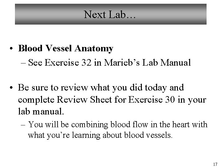 Next Lab… • Blood Vessel Anatomy – See Exercise 32 in Marieb’s Lab Manual