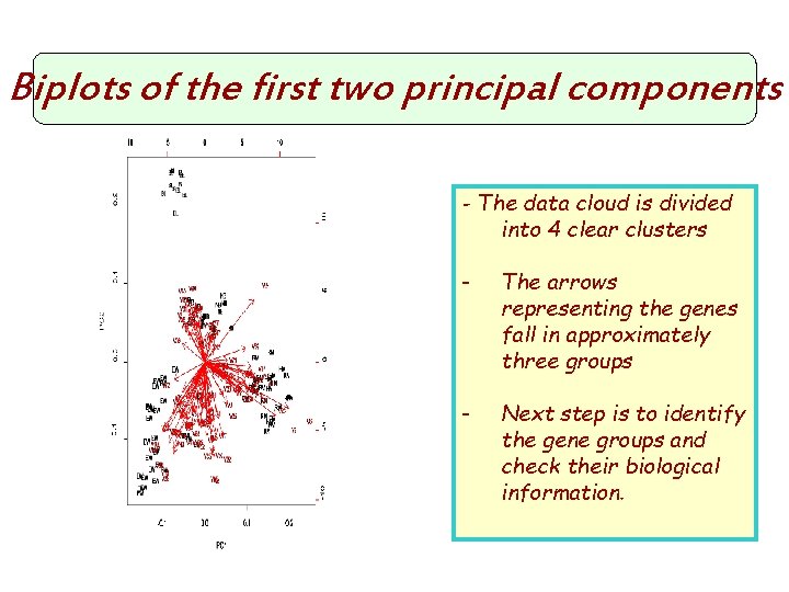Biplots of the first two principal components - The data cloud is divided into
