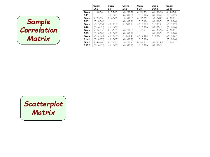 Sample Correlation Matrix Scatterplot Matrix 