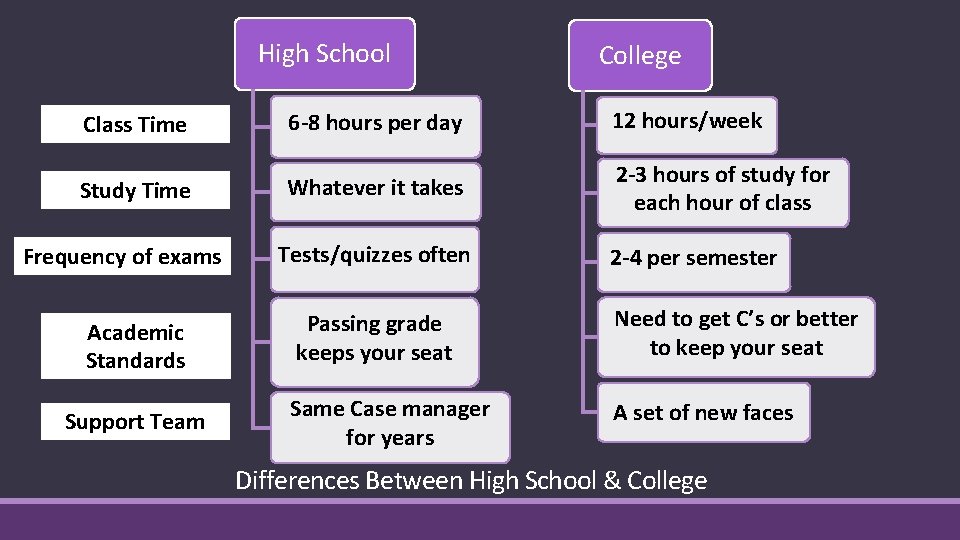 High School College Class Time 6 -8 hours per day 12 hours/week Study Time