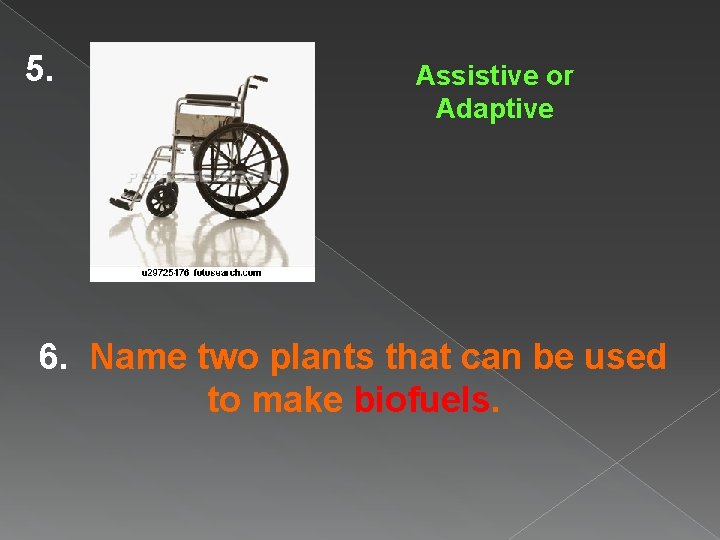 5. Assistive or Adaptive 6. Name two plants that can be used to make